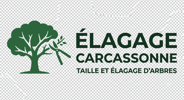 Élagage Carcassonne – Taille et élagage d'arbres